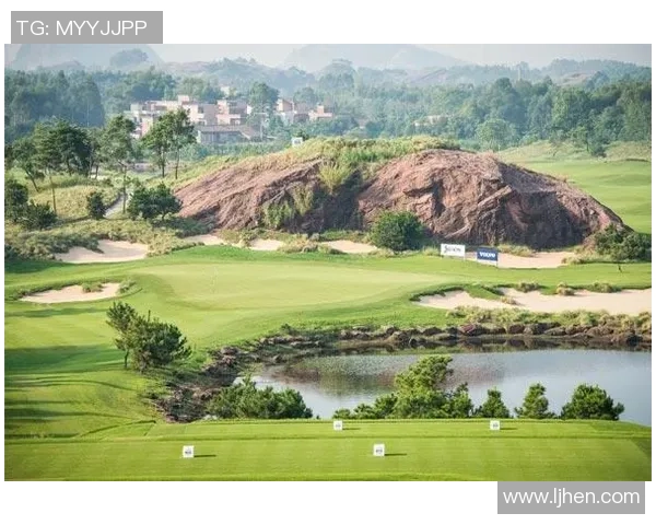 卢多戈与布加勒在中立球场对决的原因分析与背景探讨